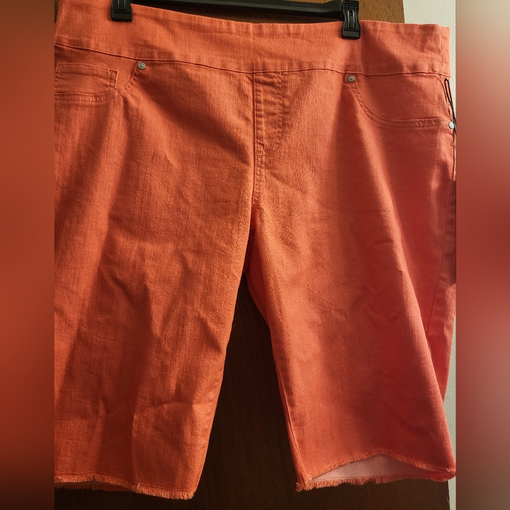 NWT DG2 Bermuda Shorts 2X